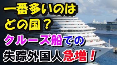 【海外の反応】クルーズ船で日本に入国、失踪する外国人が急増！一番多い国は…