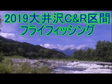 2019大井沢C&R区間フライフィッシング