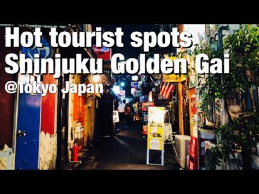 【新宿ゴールデン街】外国人観光客に人気の街をGoPro7でノーカット撮影 / Shinjuku Golden Gai, Tokyo Japan