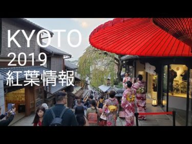 京都 紅葉情報2019 外国人観光客で賑わう清水寺 高台寺   เกียวโตะ  KYOTO
